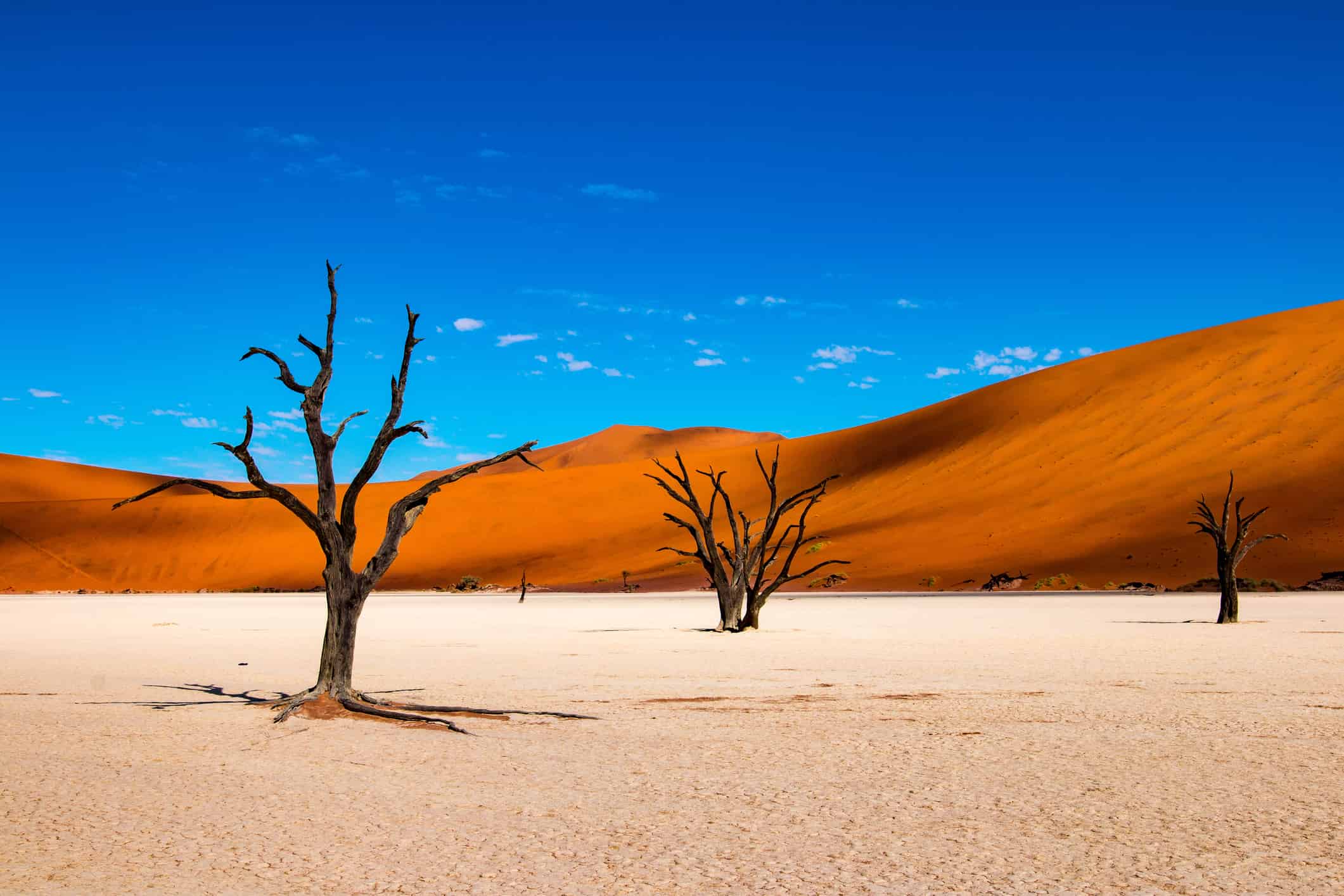 5. Dead Vlei