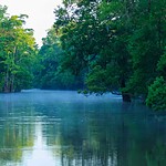 6. Big Thicket