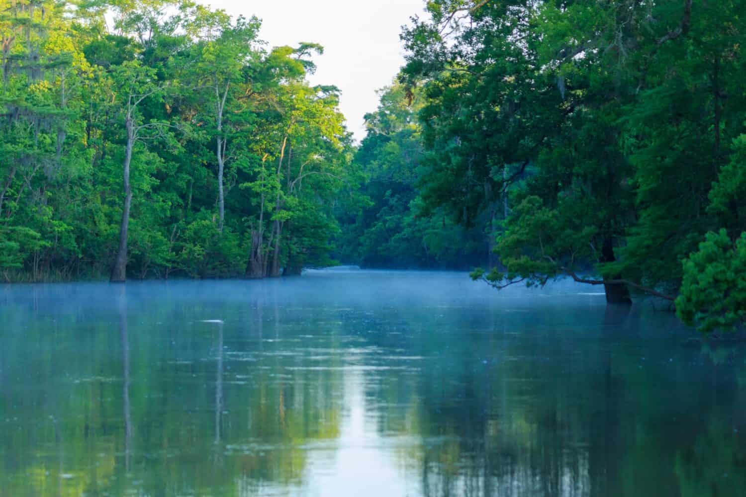 6. Big Thicket
