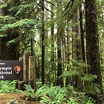 Olympic National Park