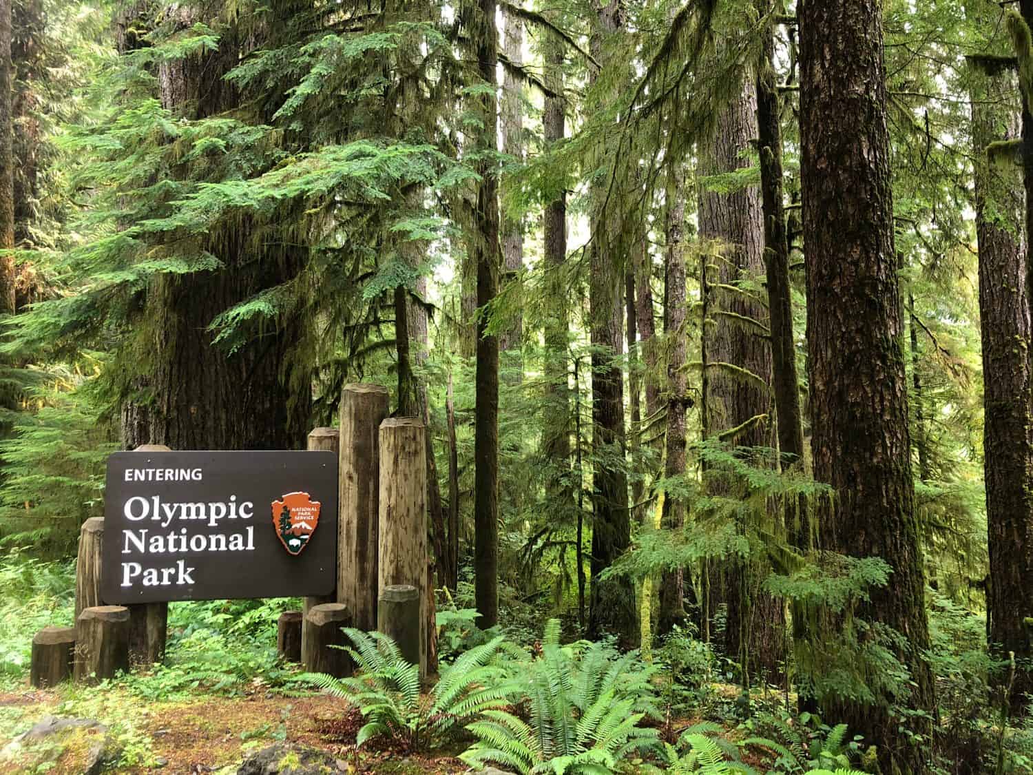 Olympic National Park