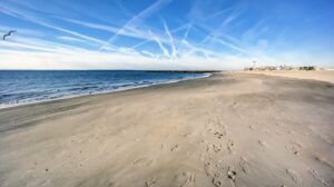 Brighton Beach is an oceanside neighborhood in the southern parts of New York City borough of Brooklyn
