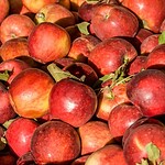 Apple Answers