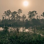 Everglades National Park