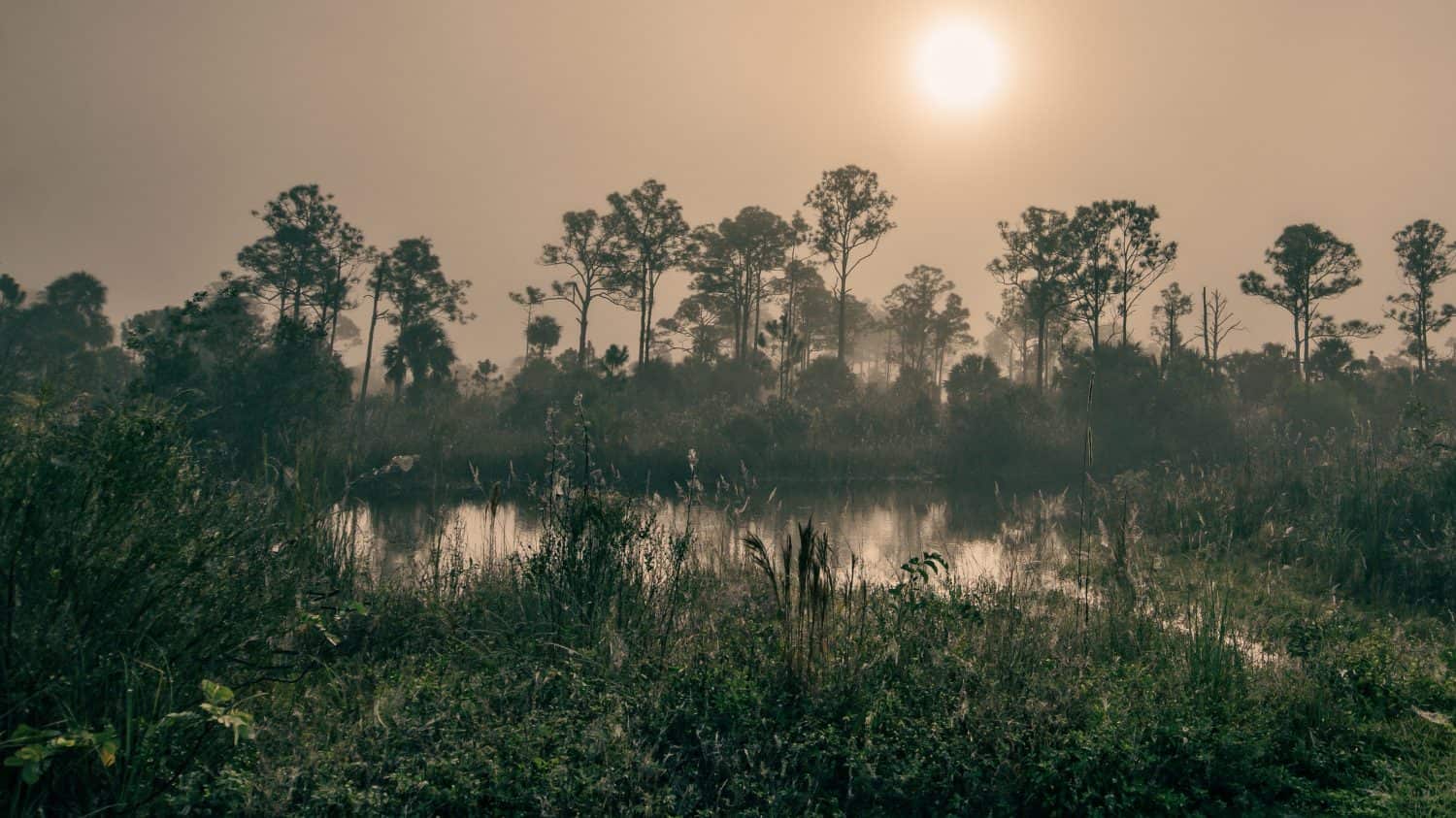 Everglades National Park