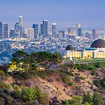 They Think L.A. Is a Weird Fever Dream