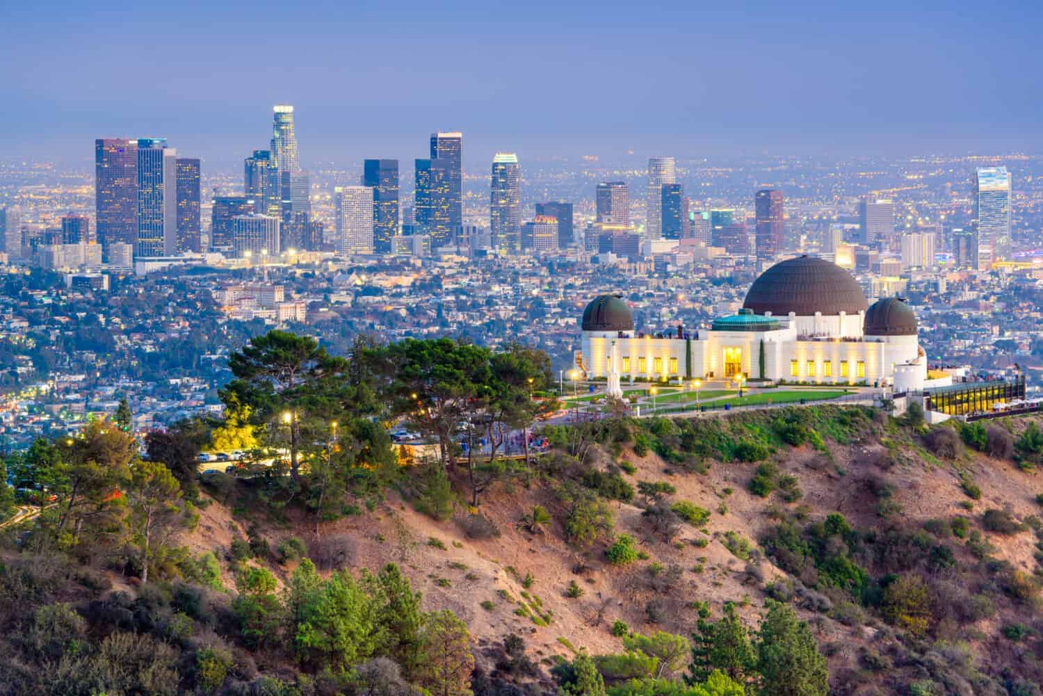 They Think L.A. Is a Weird Fever Dream