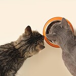 Meow Mix (1974, but ran heavily through the 80s)