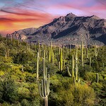 Arizona