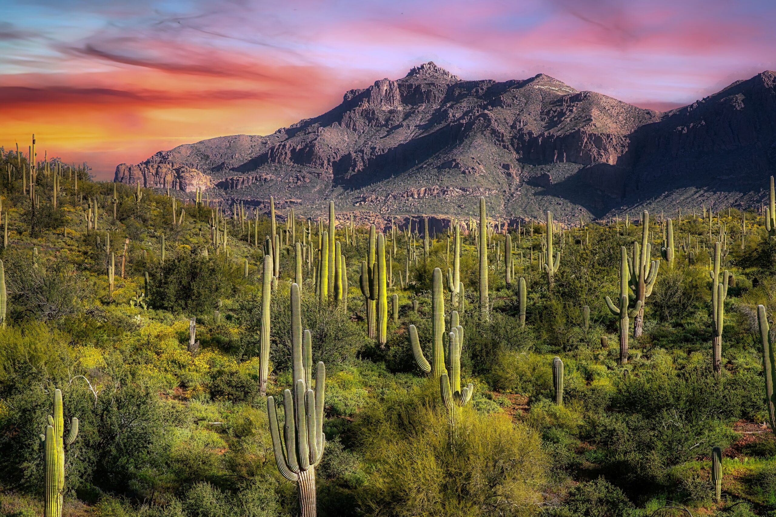 Arizona