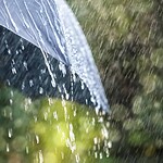 The Umbrella