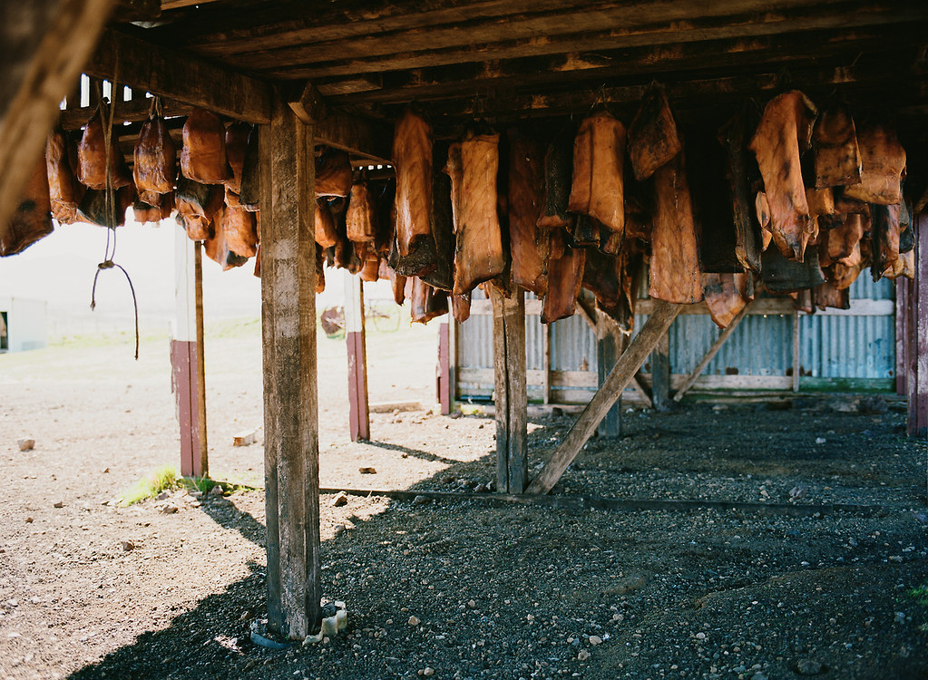 This is Hákarl, fermented Greenland shark. One of the strangest things I’ve ever eaten, it’s buried in the sand and then hung to dry in open air for months because it’s poisonous when fresh. The heavy smell and taste of ammonia is certainly eye opening.