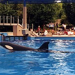 SeaWorld Ohio, Aurora, Ohio