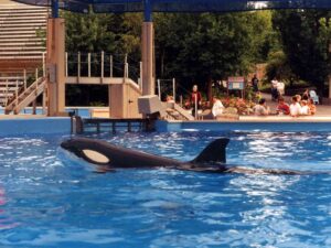 SeaWorld Ohio 1999