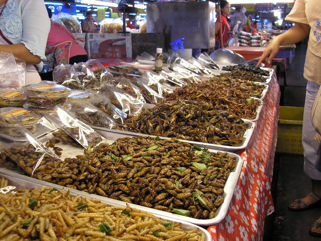 Insect snacks in Chiang Mai, Thailand