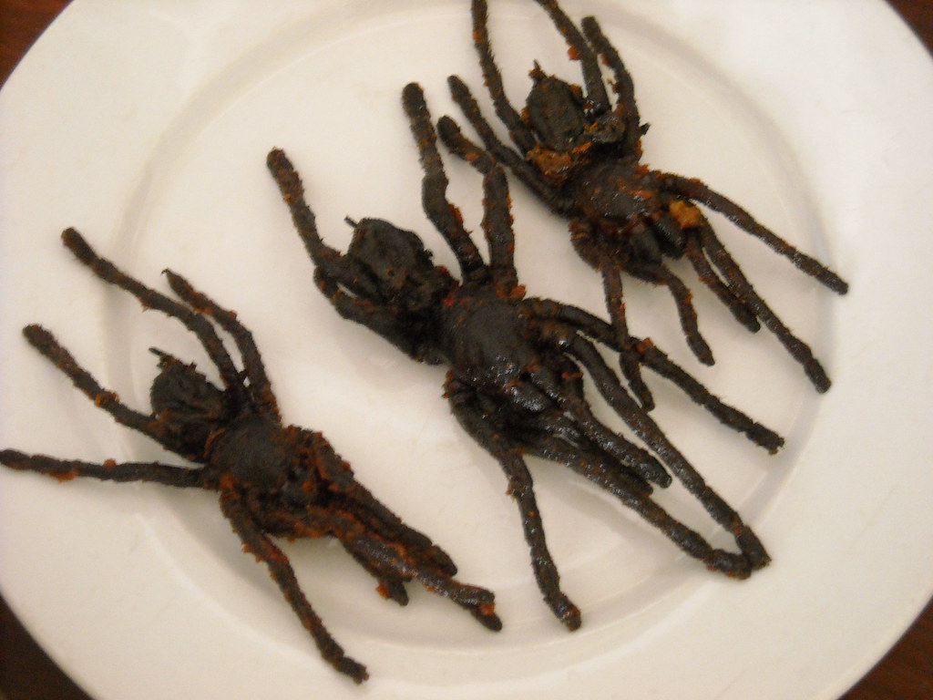 Fried Tarantula