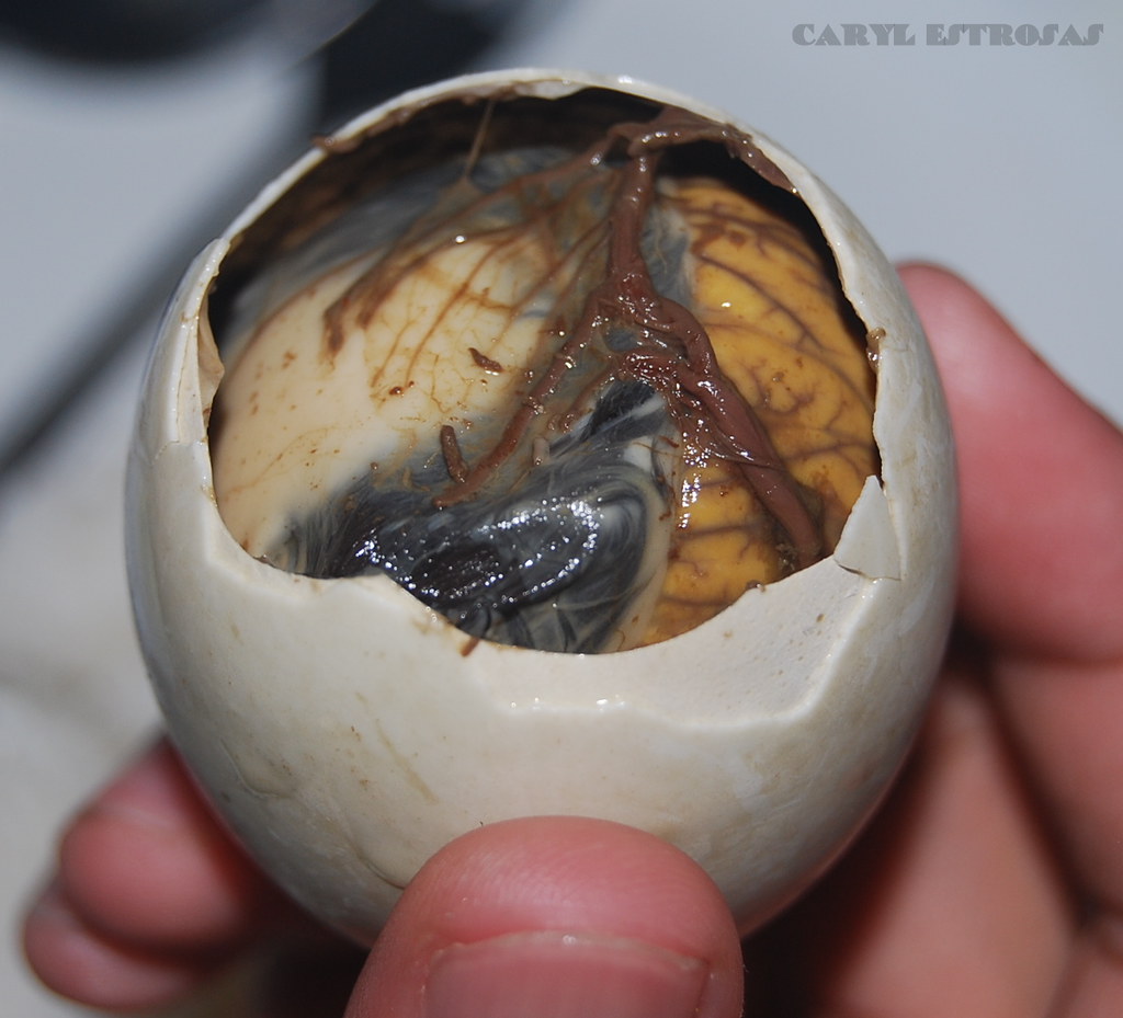 Balut