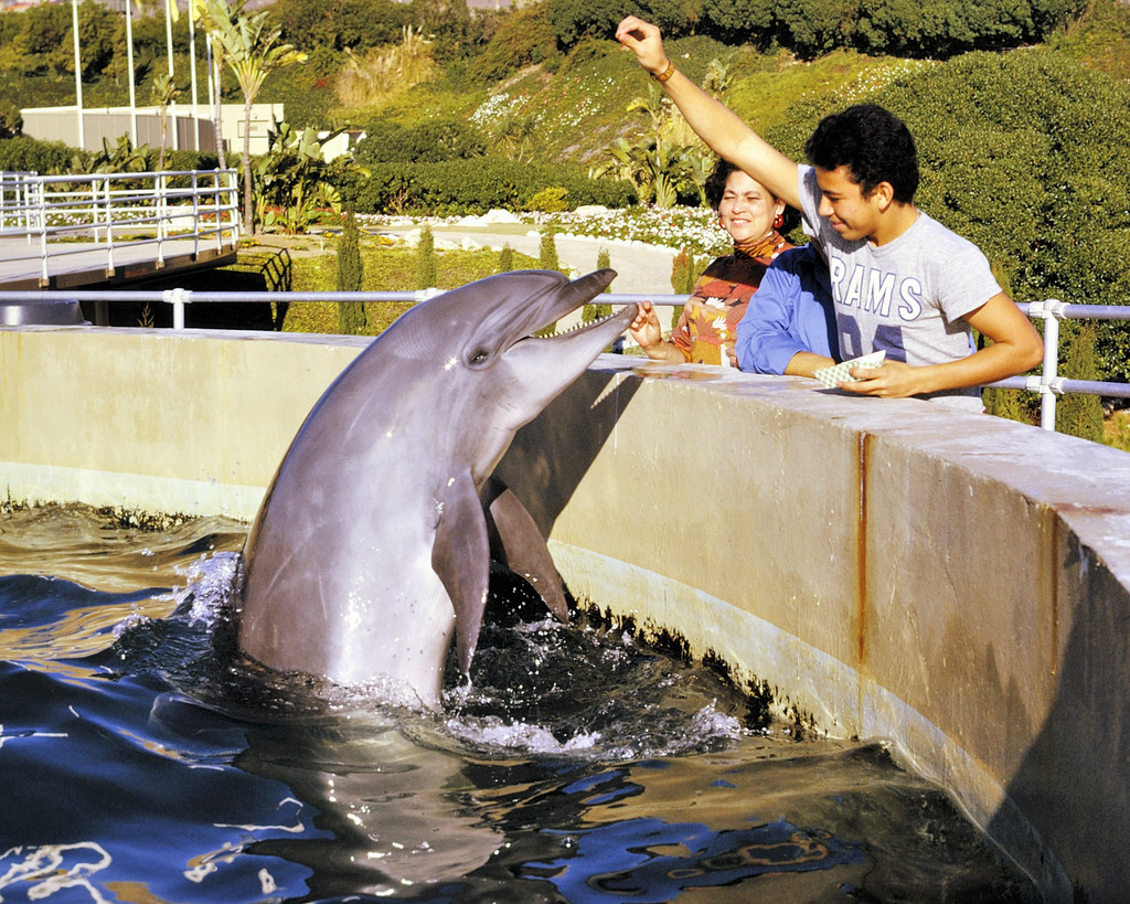 18 American Vacation Spots That Were Huge in the ’80s but Faded Away