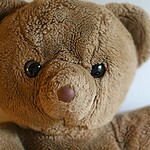 5. Teddy Bear