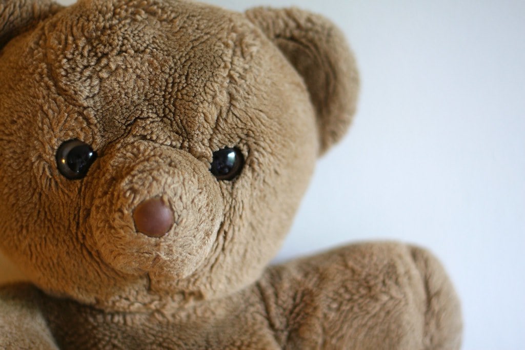 5. Teddy Bear