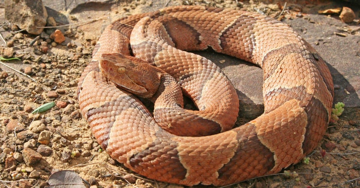 Illinois