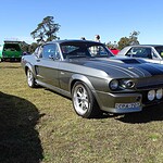 The Mustang Has Thousands of Screen Credits