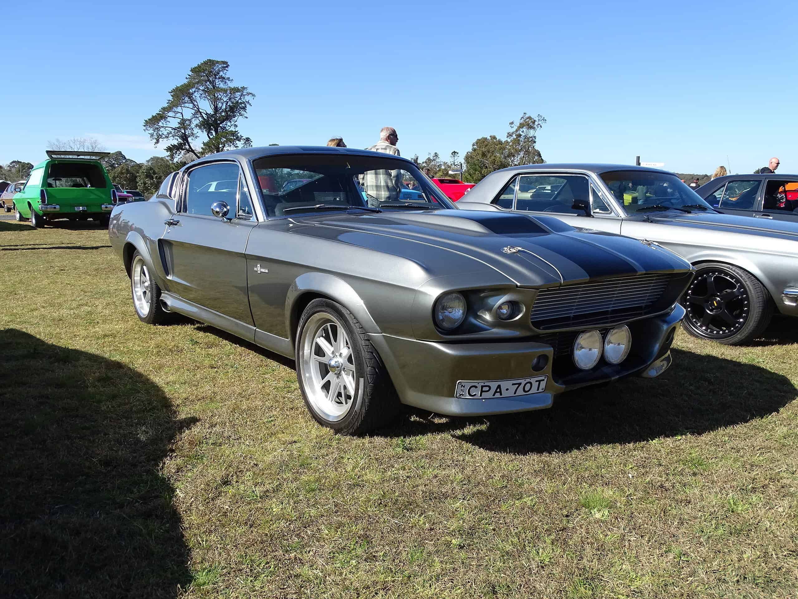 The Mustang Has Thousands of Screen Credits