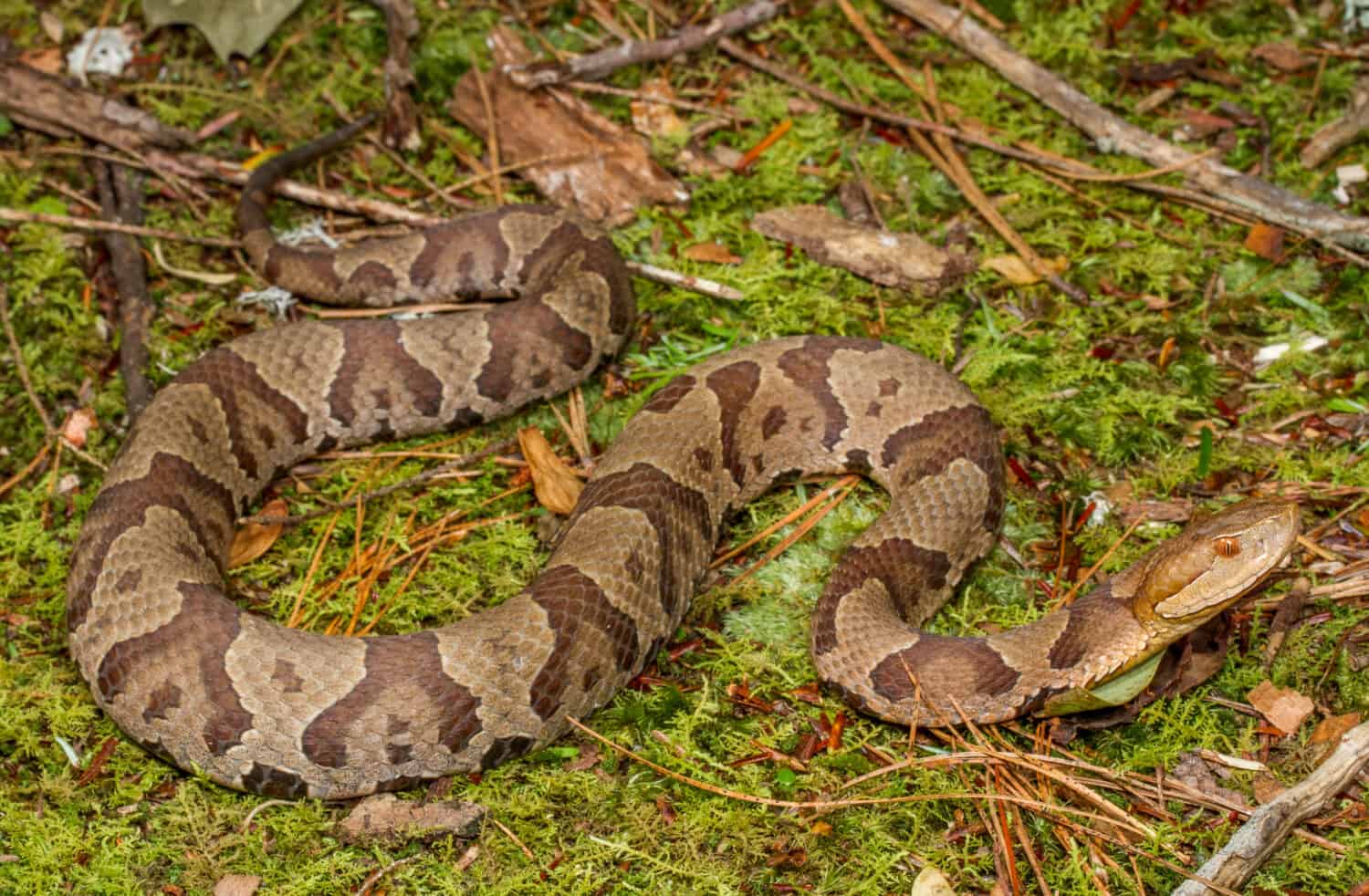 Ohio