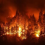 Camp Fire - 2018