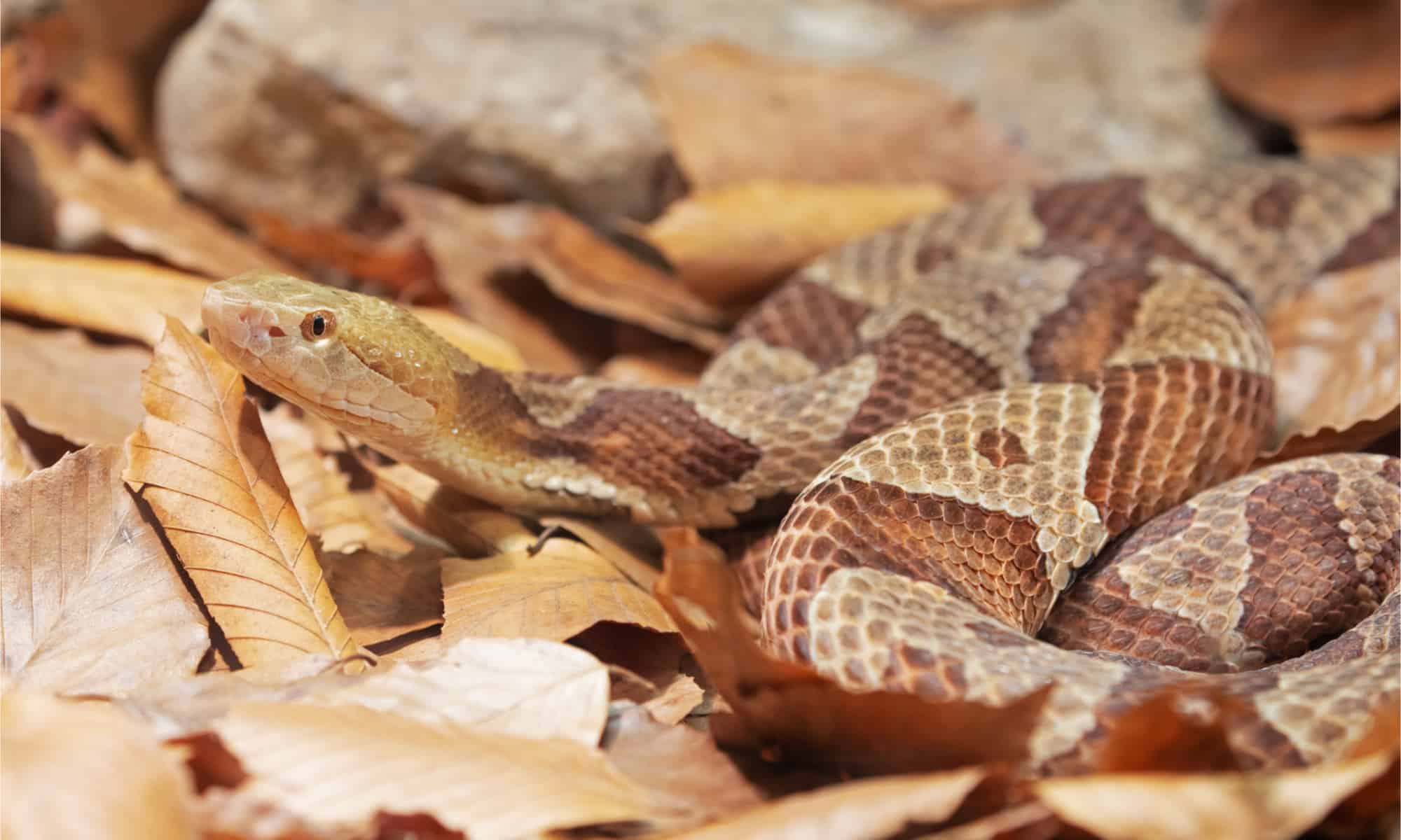 Pennsylvania