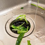 Having a Garbage Disposal Built Into the Kitchen Sink