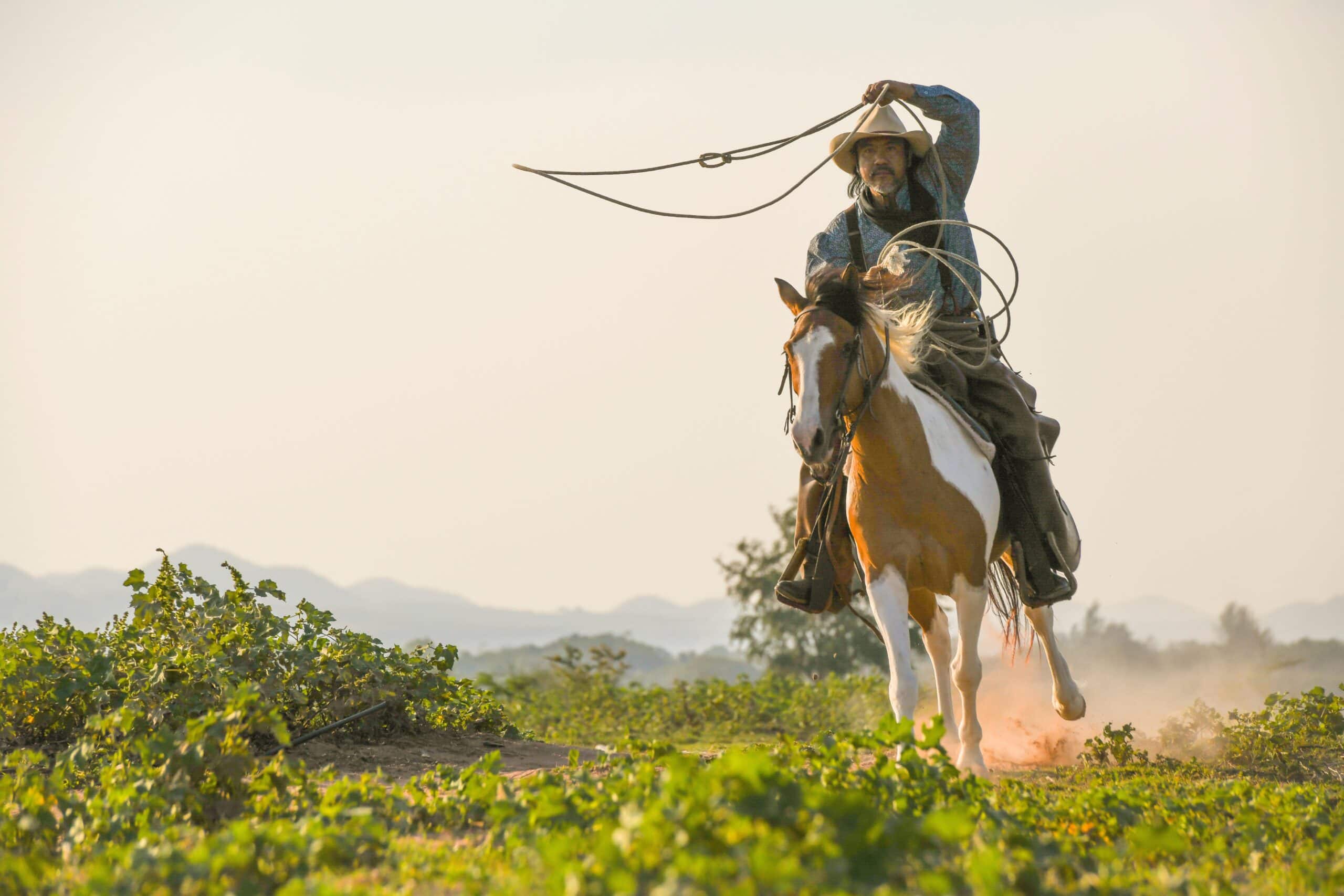 Cowboys Were White