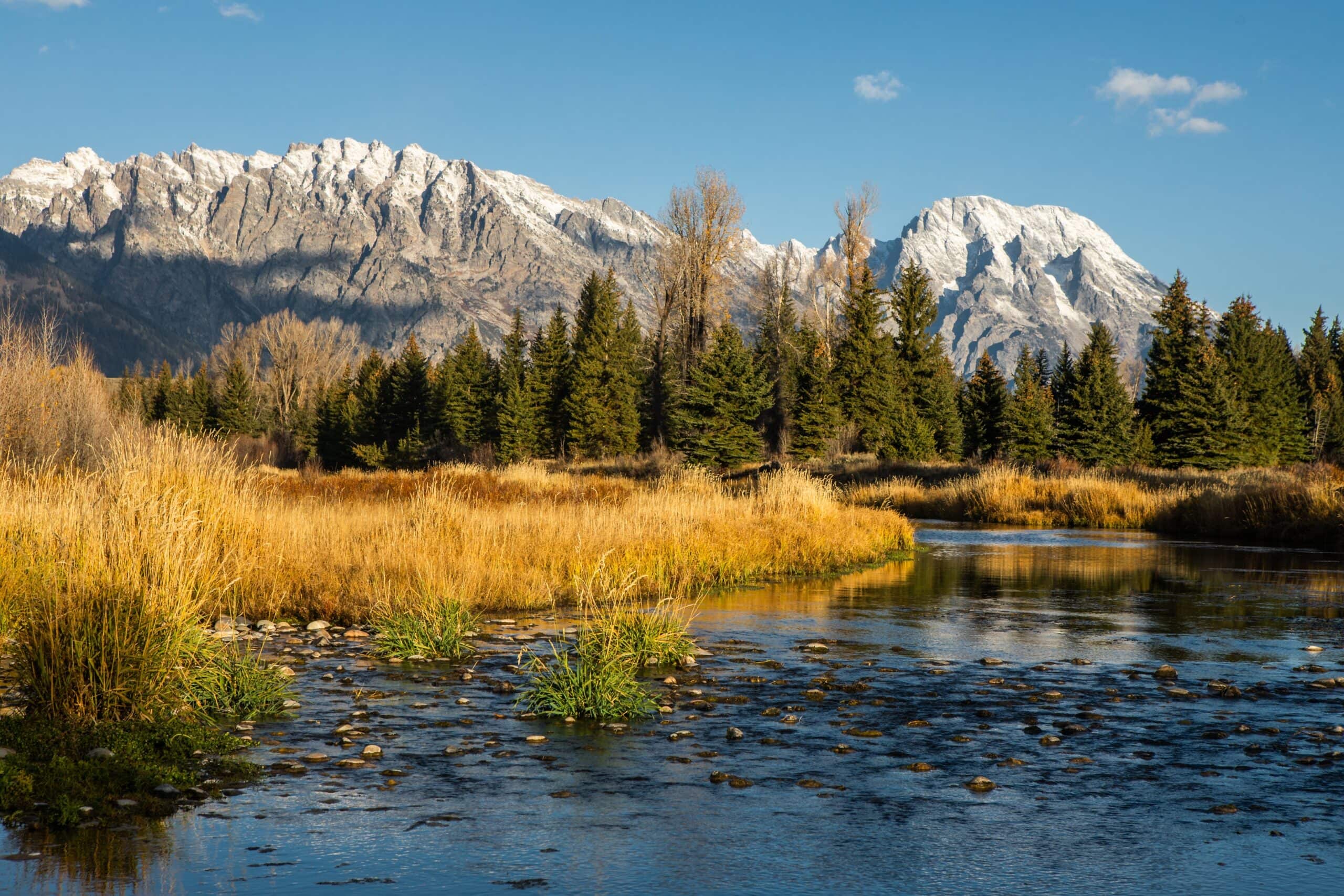 National Park Admission