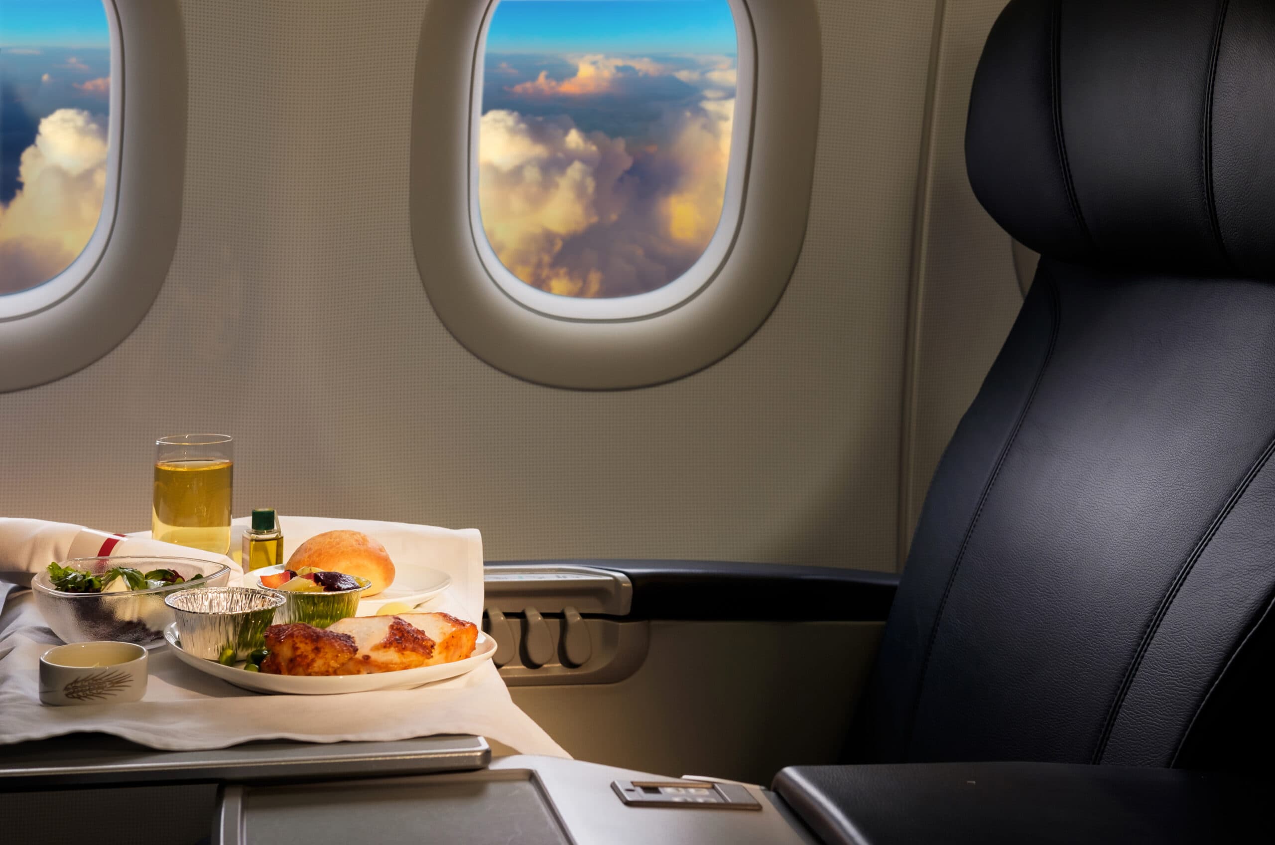 In-Flight Meals