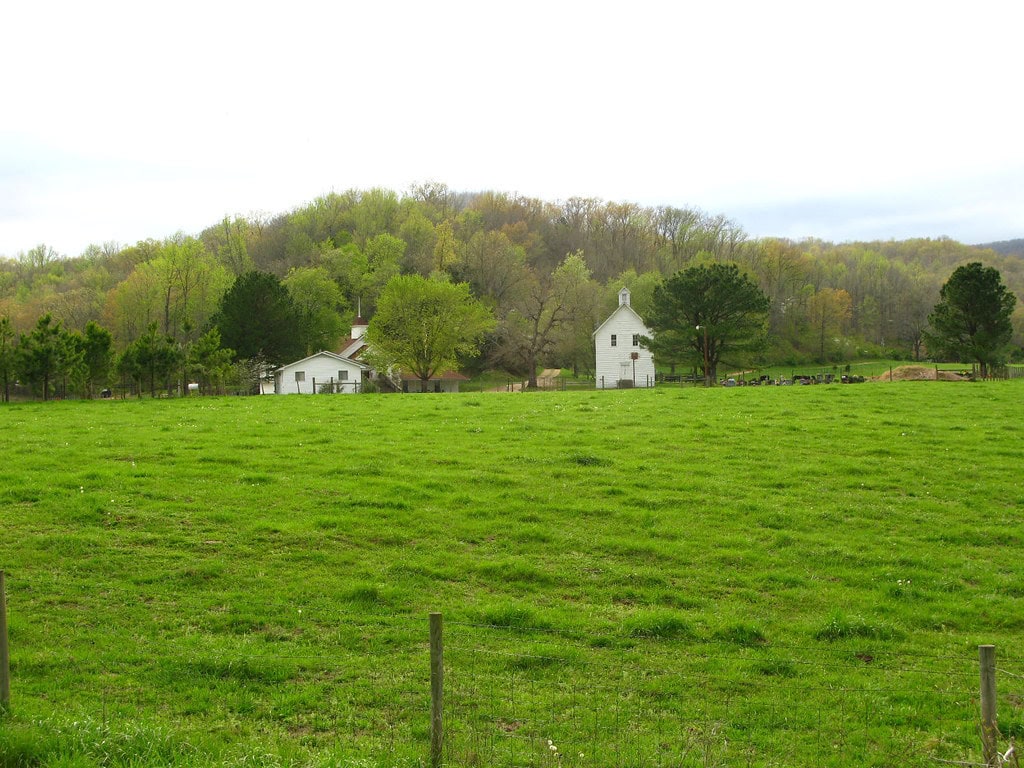 Spring Green in Boxley Valley