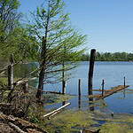 Louisiana