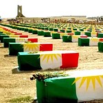 8. Anfal Campaign