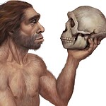 Neanderthals Were an Evolutionary Dead End