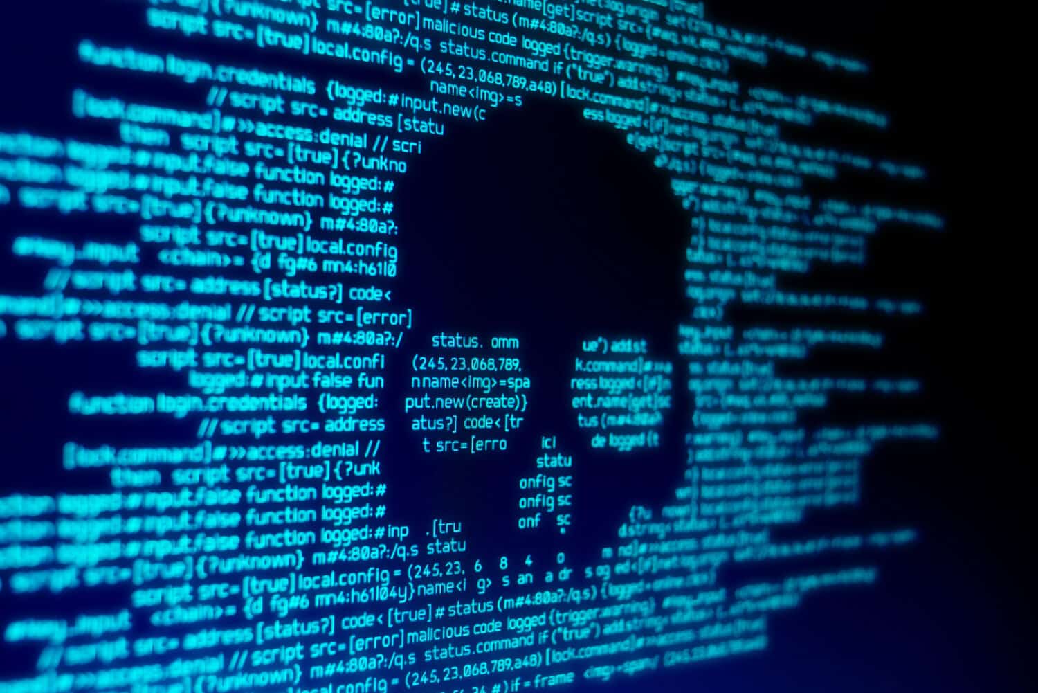 Can your child’s information end up on the dark web, and how would you find out?