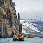 Svalbard Cliffs (Alkefjellet)