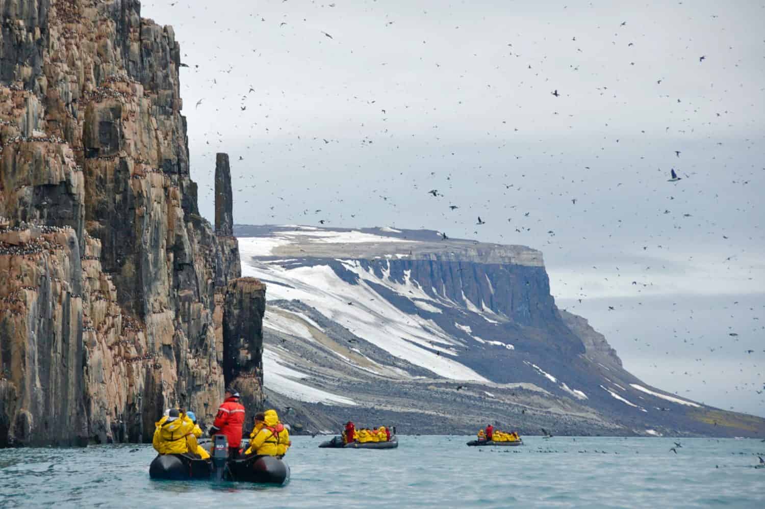 Svalbard Cliffs (Alkefjellet)