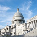 What Were the Three Branches of Government Established by the Constitution?
