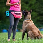 Fanny Packs