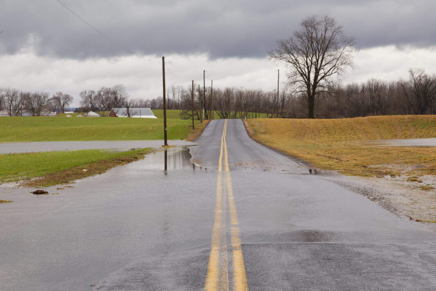 Nearly 31 Inches of Rain