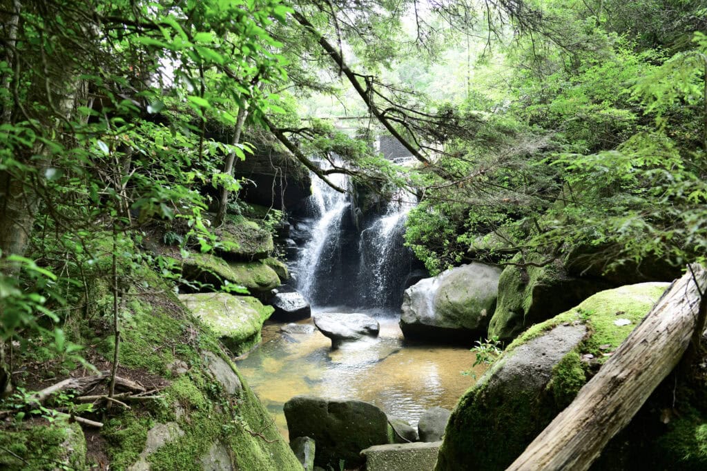 A peaceful, secluded brook flows between  moss covered rocks in the sandstone gorge of Dismals Canyon, Alabama, a designated World Heritage site since 1974