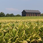 Kentucky