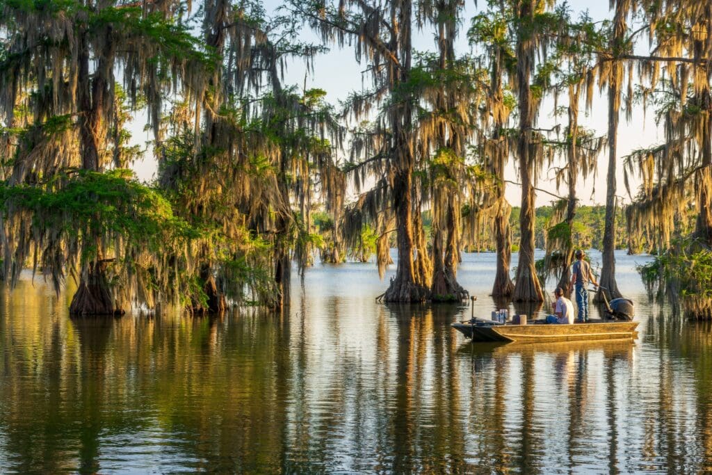 Fishing on a boat at Lake Martin, Cypress Island Preserve, Cypress swamp scenic landscape with reflections, Breaux Bridge near Lafayette, Louisiana