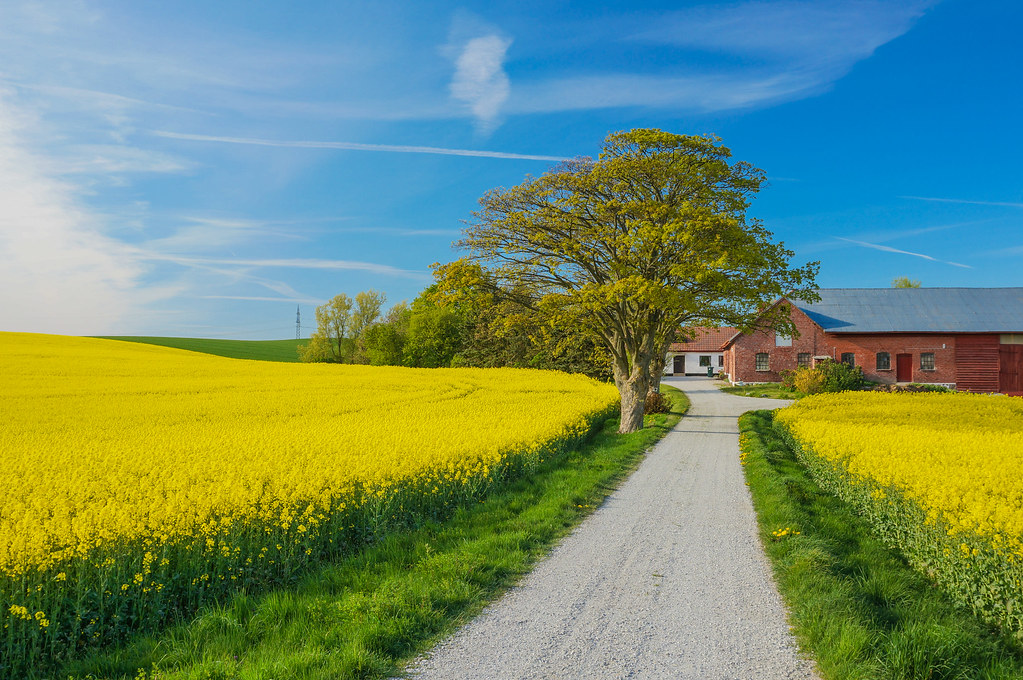 Swedish Countryside