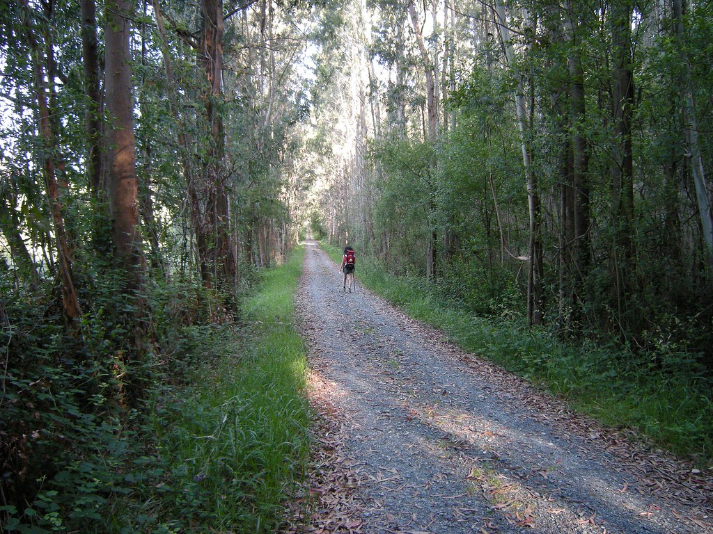 Camino de Santiago