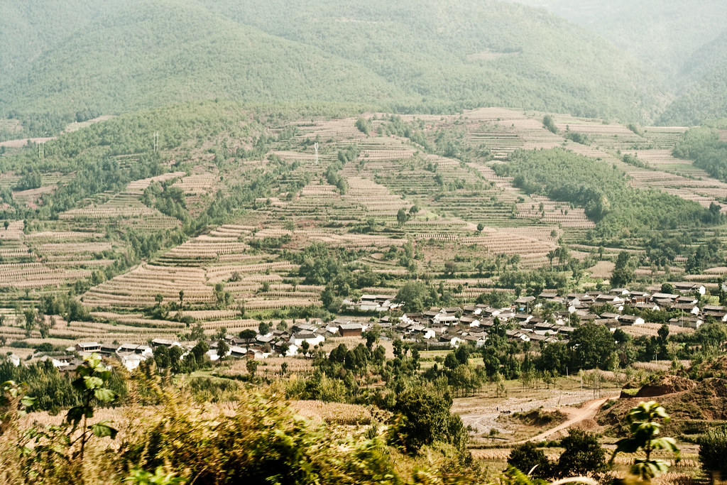 Rice Terraces in Yunnan Province (梯田)